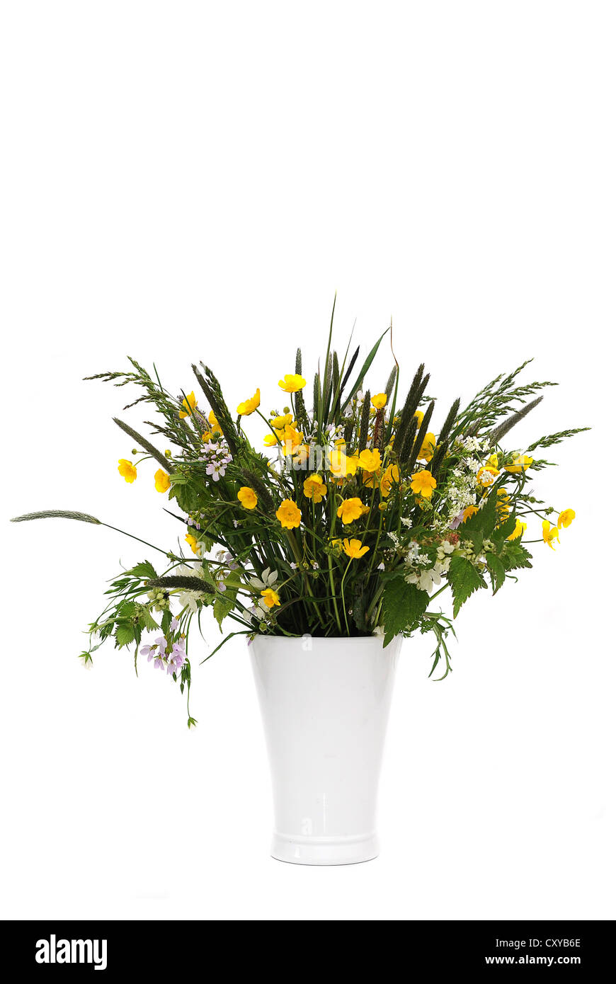 Bouquet de fleurs des champs avec des renoncules (Ranunculus acris) dans un vase blanc Banque D'Images