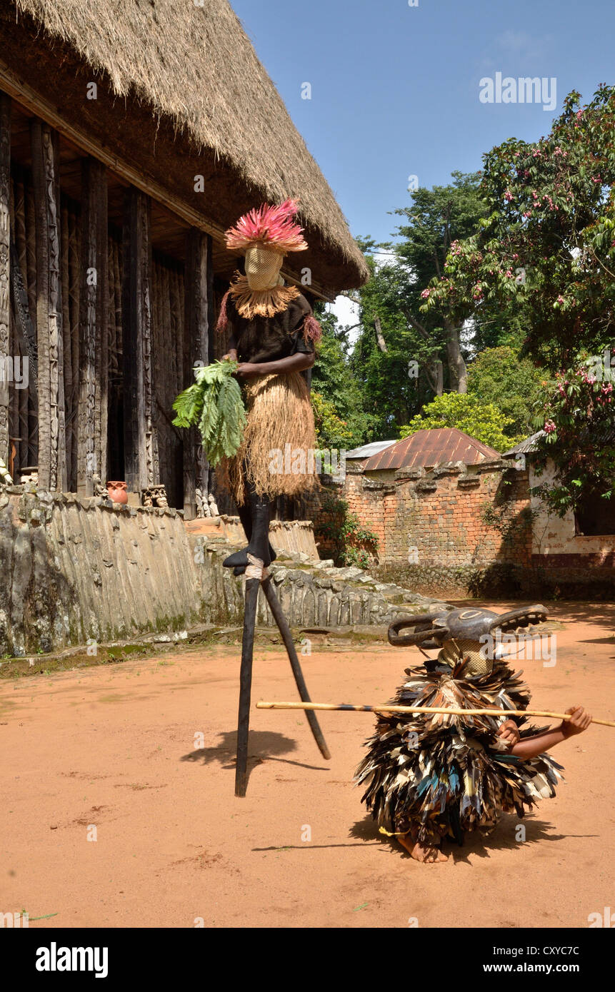 La danse traditionnelle au palais de l'un des, Bafut royaumes traditionnels du Cameroun, près de Bamenda, au nord ouest du Cameroun Banque D'Images