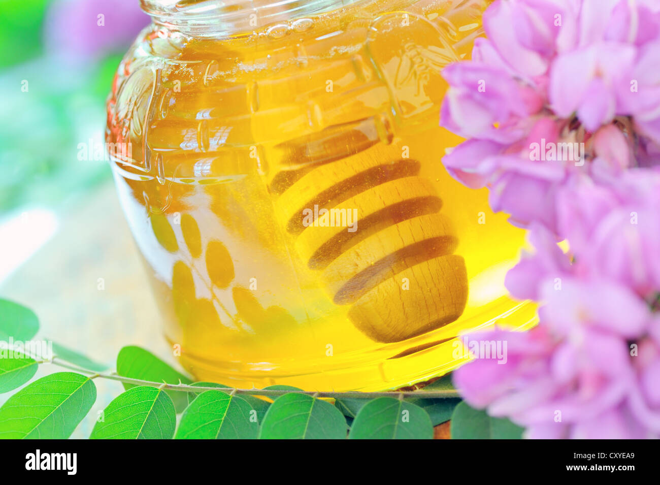 Le miel en pot de verre Banque D'Images