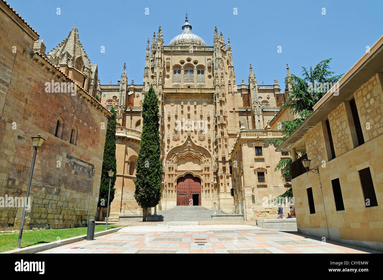 Ancienne Cathédrale, Salamanca, Castilla y León, Espagne, Europe, PublicGround Banque D'Images