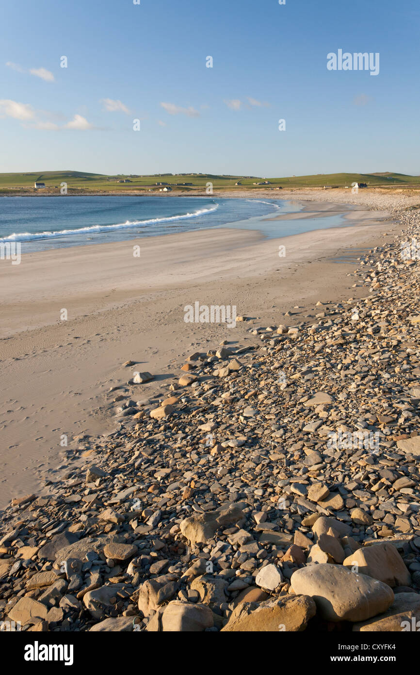Orkney Islands, Skaill Beach Banque D'Images