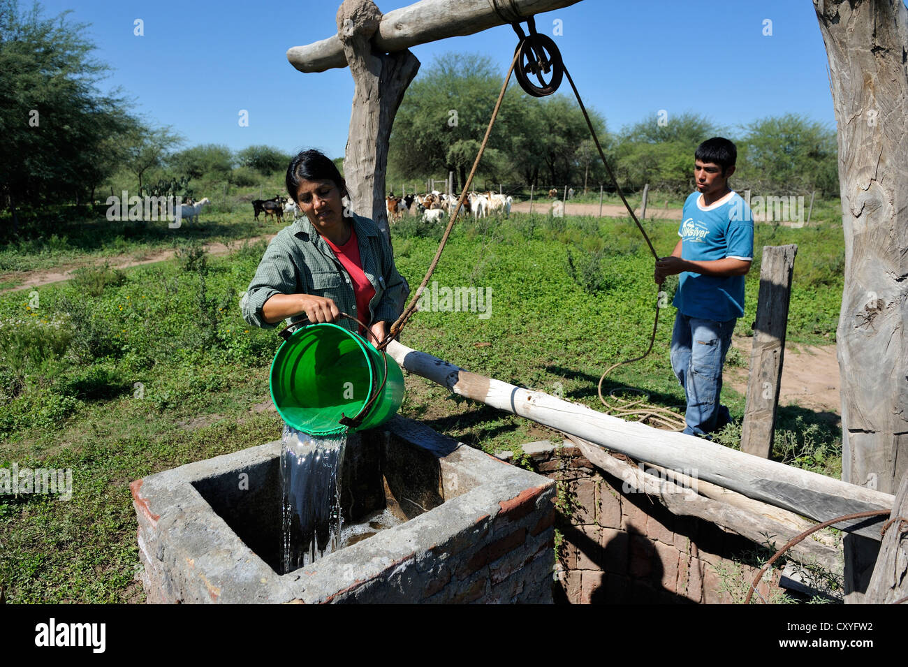 Farmer verser de l'eau d'un puits dans un réservoir de l'abreuvement du bétail, les petits exploitants, Gran Chaco, Province de Santiago del Estero, Argentine Banque D'Images