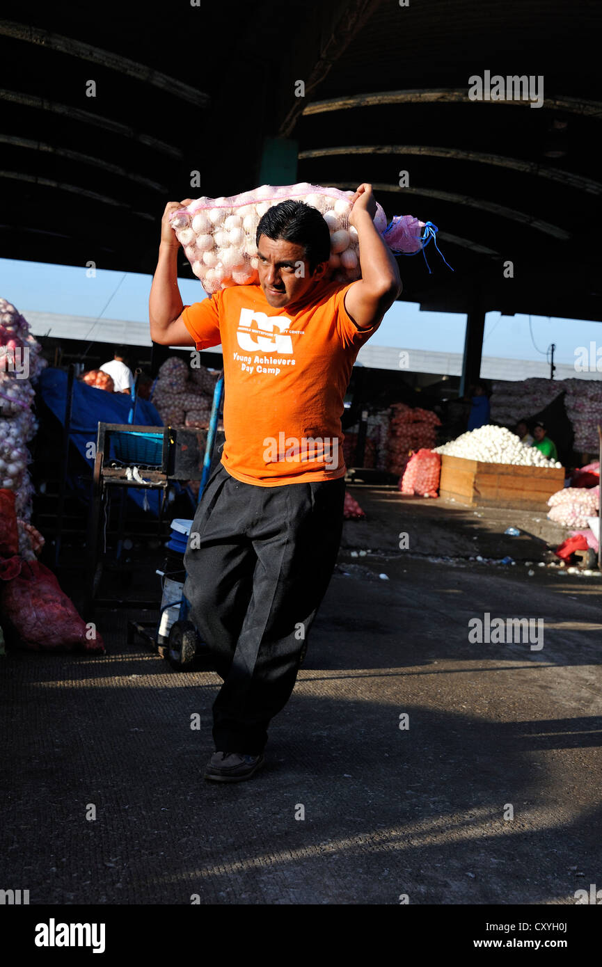 Homme portant un sac d'oignons, CENMA, marché de gros de légumes dans le sud de la ville de Guatemala, Guatemala, Amérique Centrale Banque D'Images