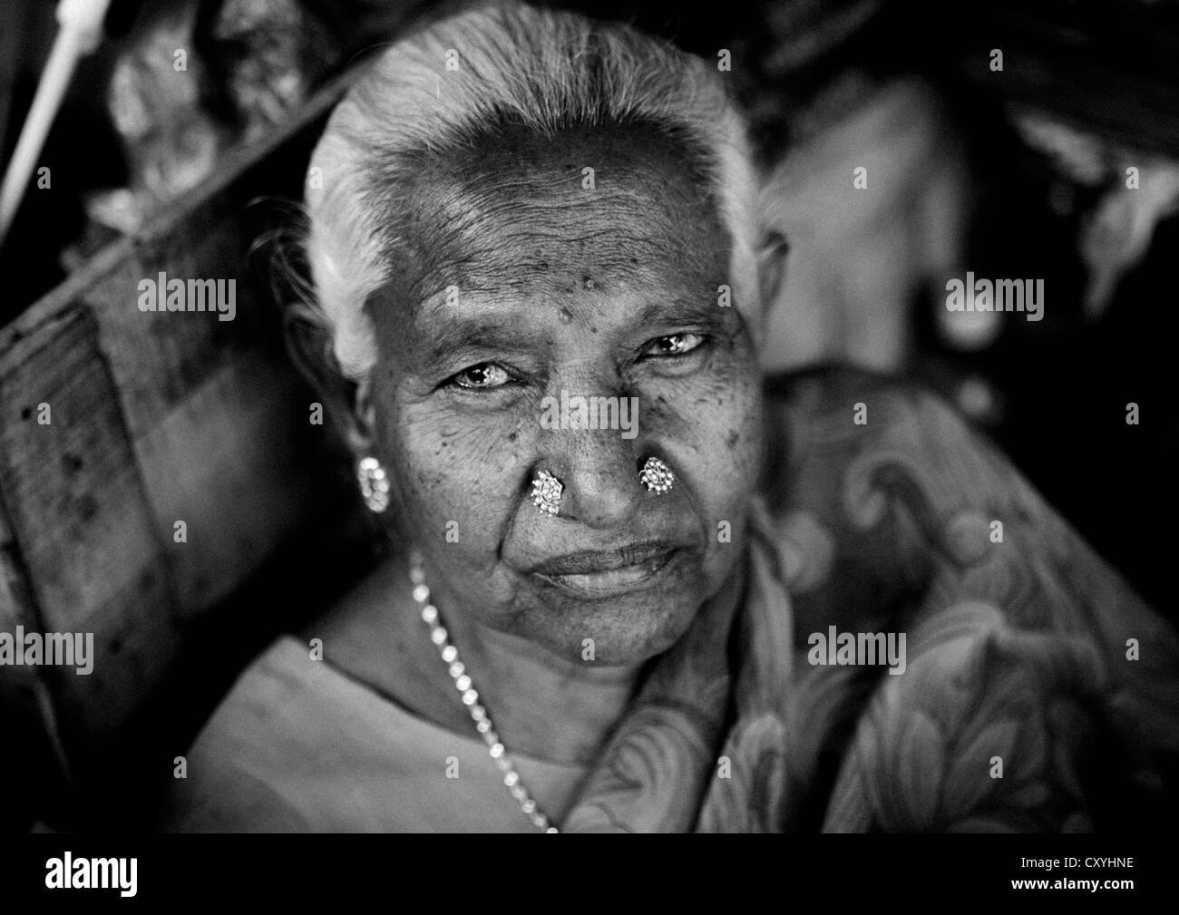 Portrait d'une vieille femme aux cheveux blancs et de piercings nez, Pondicherry, India Banque D'Images