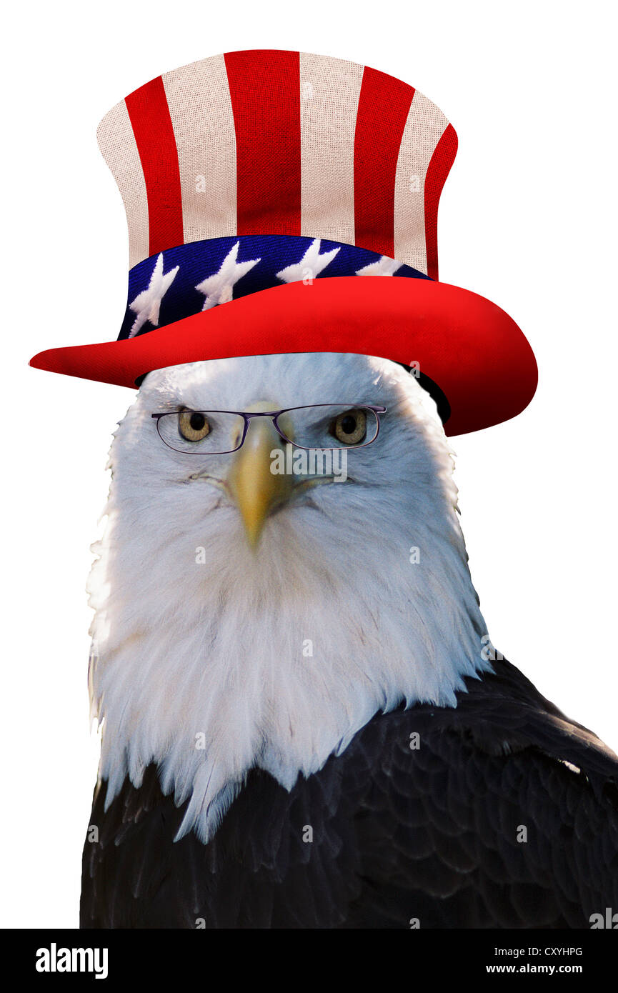 L'aigle chauve américain oncle porter chapeau. Banque D'Images