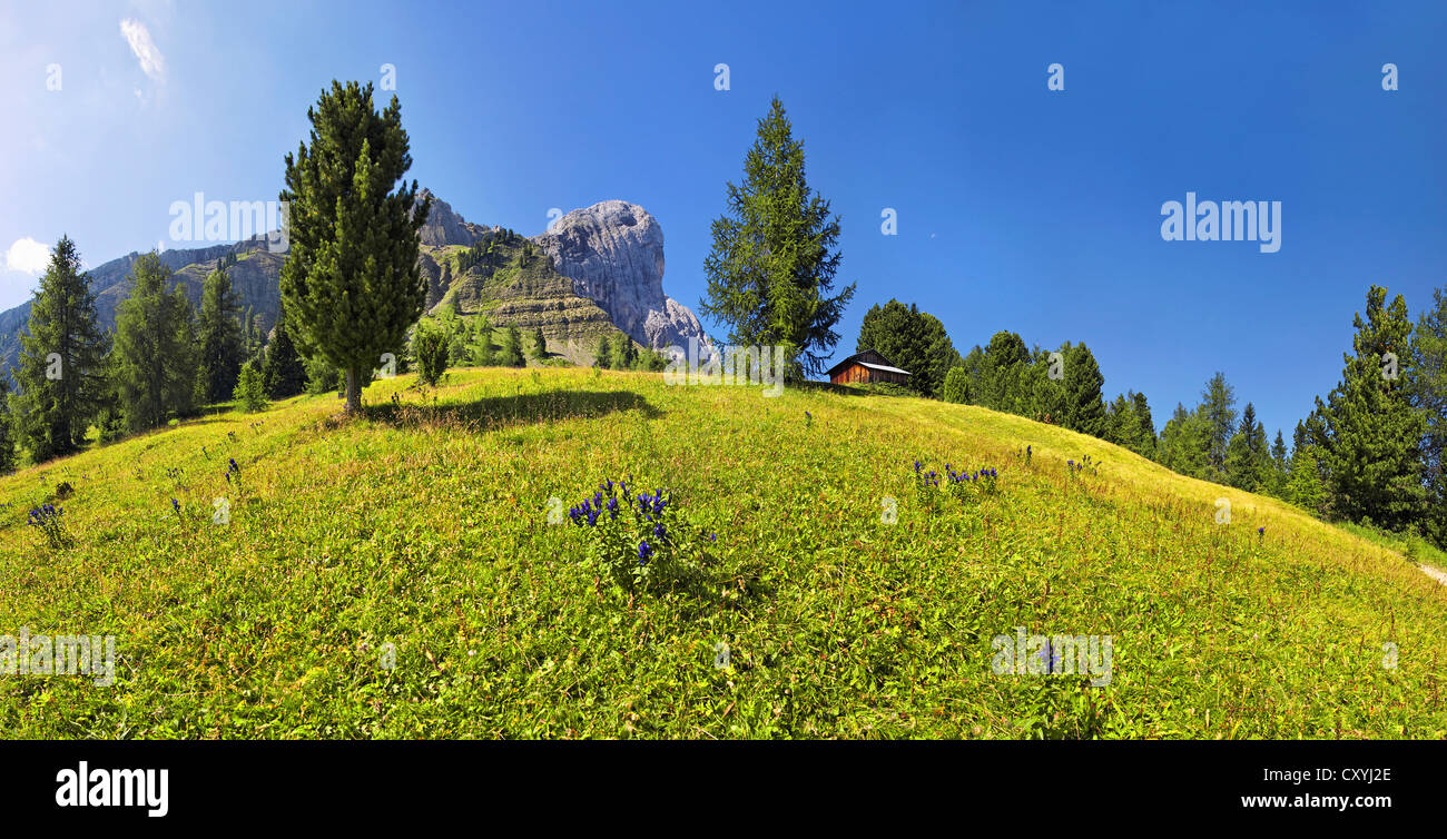 Mt Peitlerkofel, Sasso delle Putia, vue panoramique à Wuerzjoch, Passo delle Erbe, Villnoess, Funes, Dolomites, le Tyrol du Sud Banque D'Images