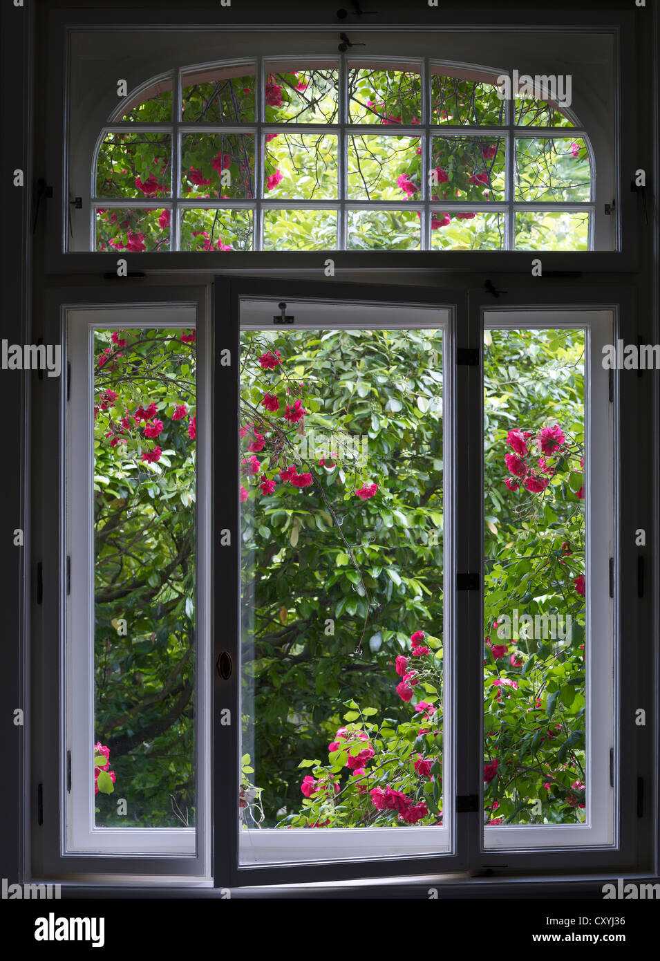 Fenêtre romantique du début du siècle, avec une vue sur le jardin avec roses rouges Banque D'Images