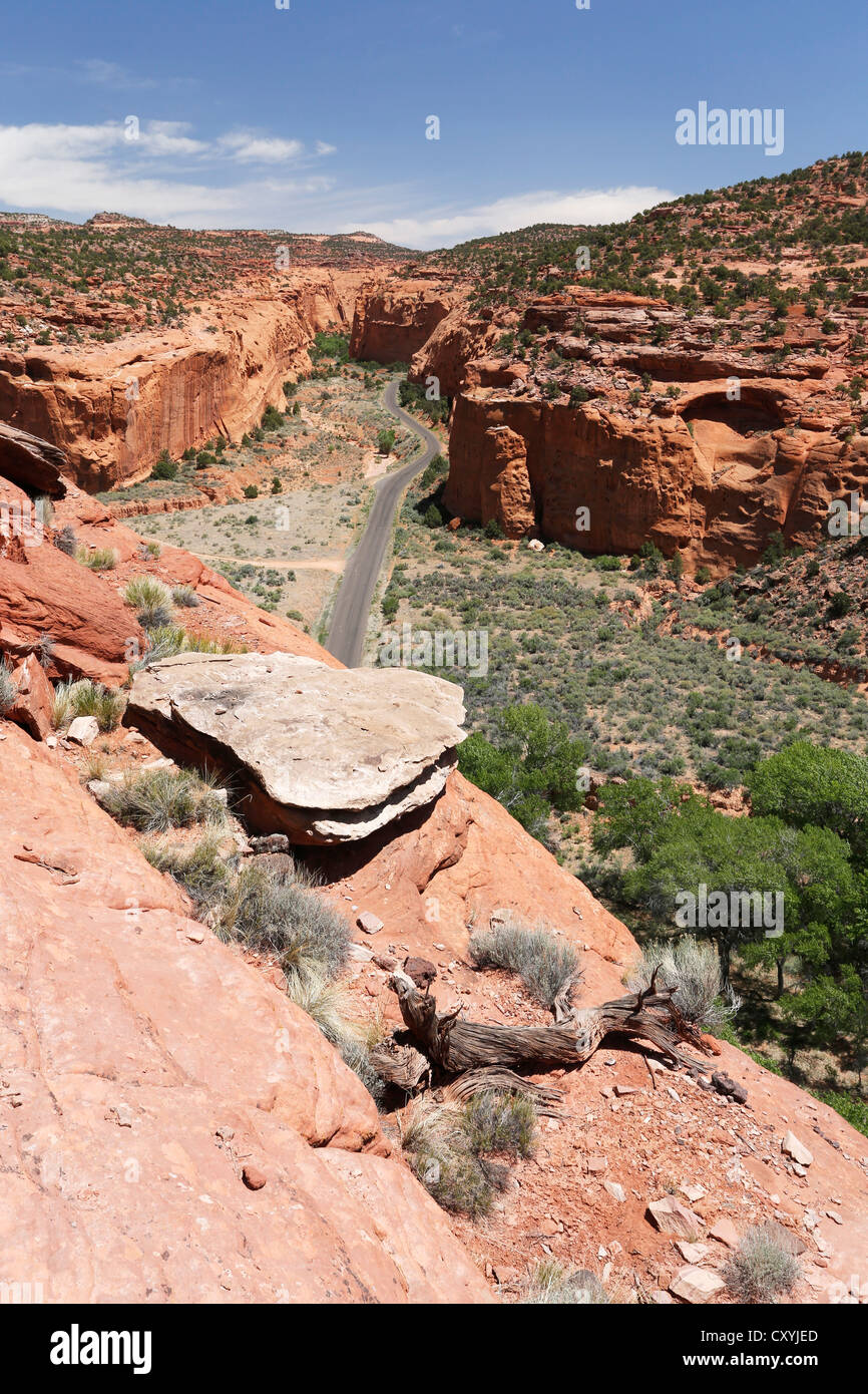 Red Canyon dans le Canyon Long, Wingate grès du groupe Glen Canyon, Burr Trail Road, Utah, USA Banque D'Images