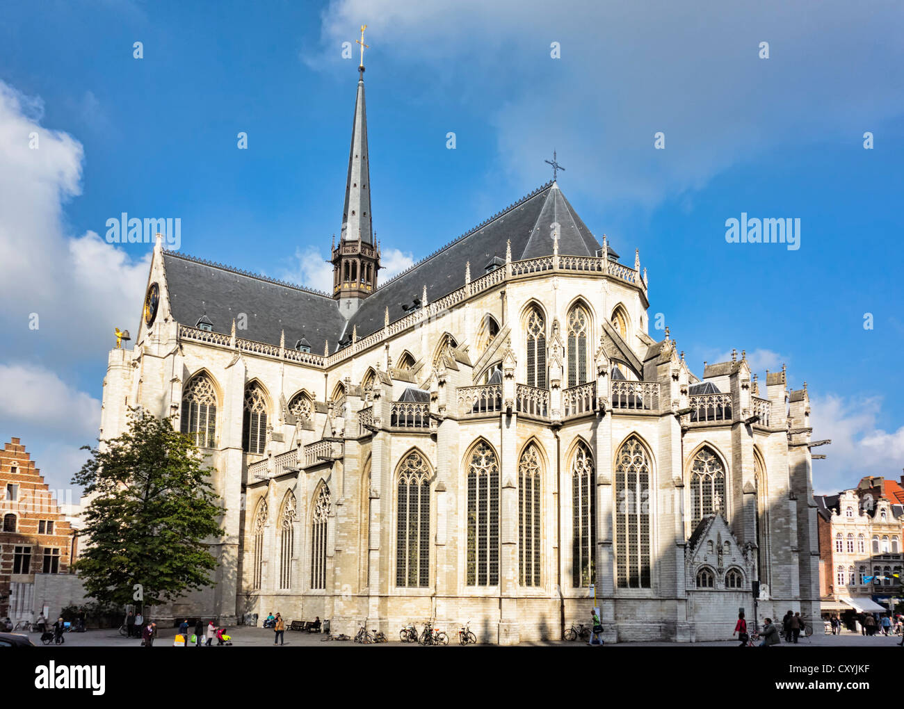 Saint Peter's Church à Louvain, Flandre orientale, Belgique Banque D'Images