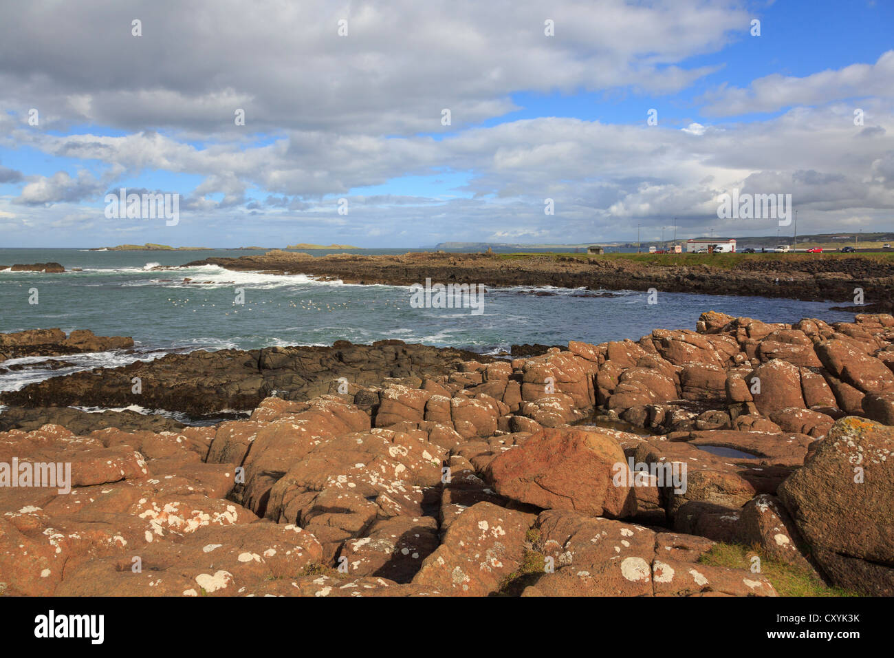 Causeway Coast côte rocheuse autour de Ramore Head à Portrush, comté d'Antrim, en Irlande du Nord, Royaume-Uni Banque D'Images