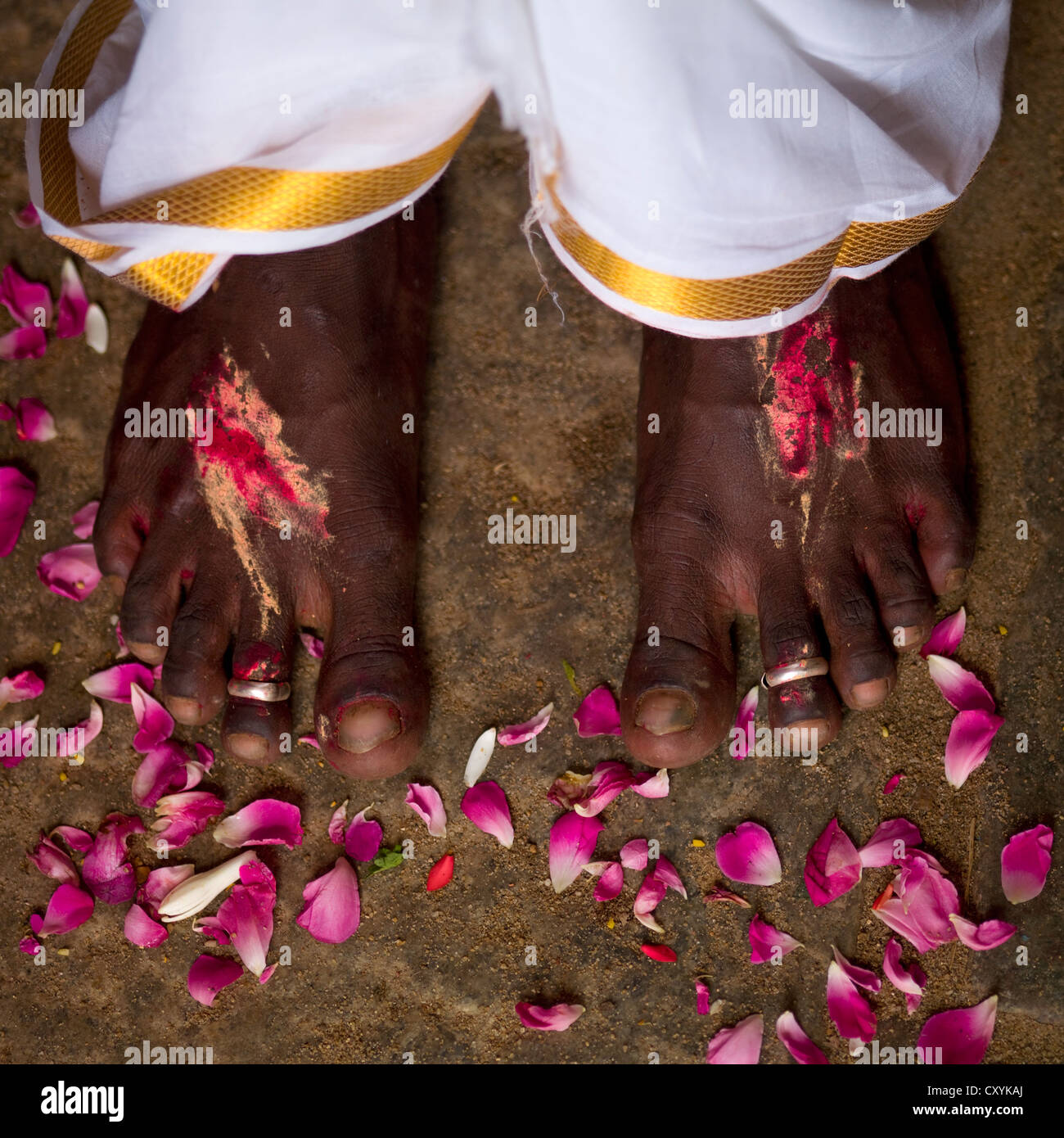 Pieds avec bagues d un homme juste marie entoure par des petales de rose a son mariage a Trichy Inde Photo Stock Alamy