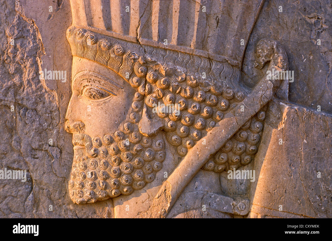 Soulagement en pierre, détail à Persépolis, l'ancienne capitale de la Perse, l'Iran, l'Asie occidentale Banque D'Images