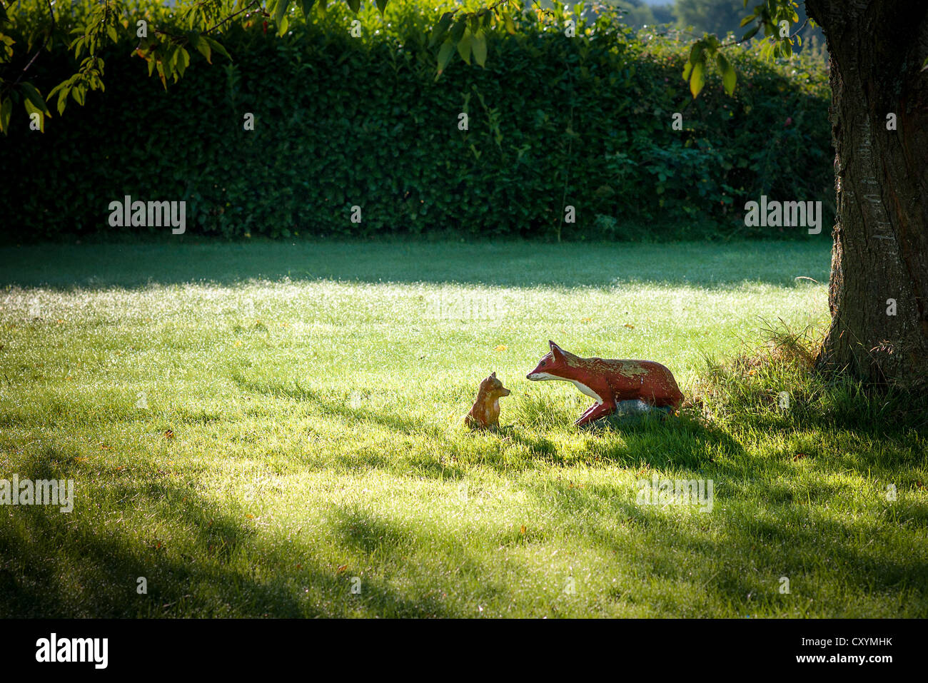 Fox Cub et ornementales dans un pays dans le jardin UK Banque D'Images