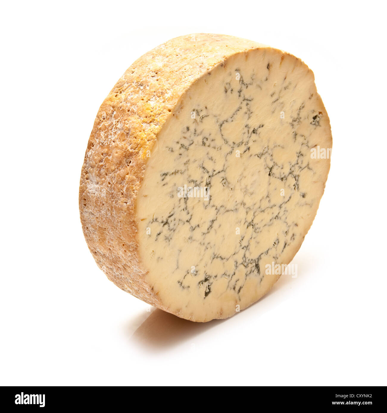 Stilton cheese isolated on a white background studio. Banque D'Images