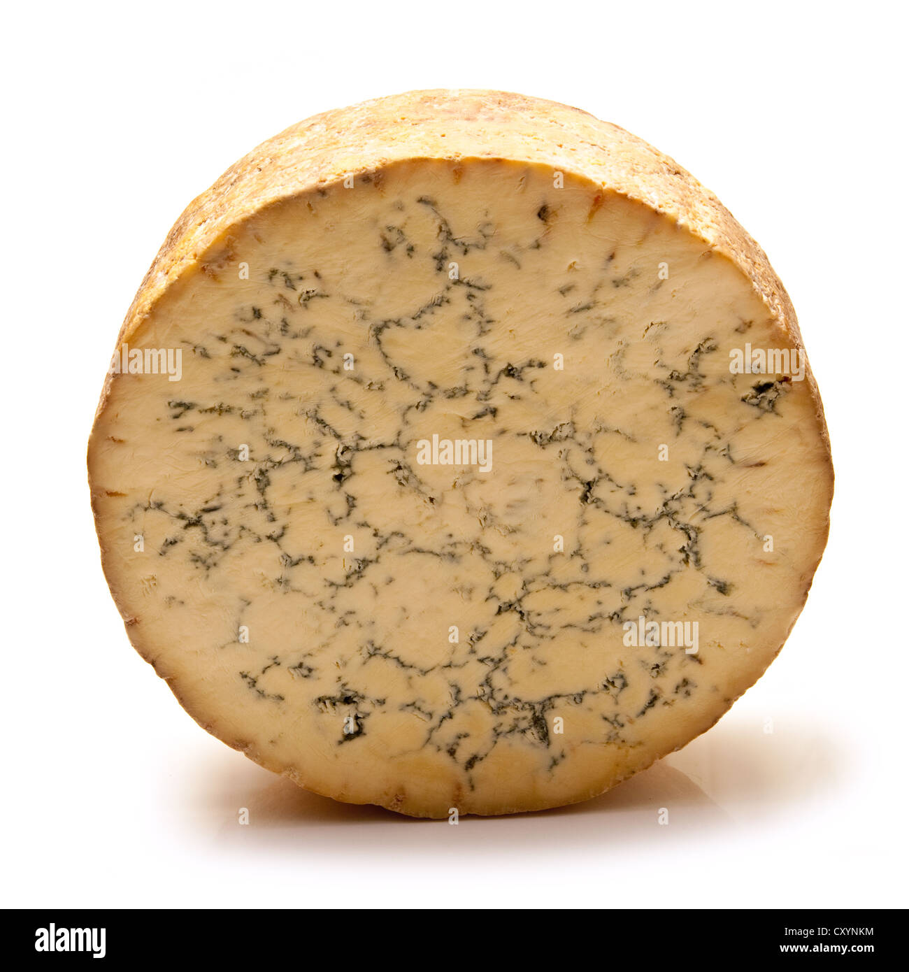 Stilton cheese isolated on a white background studio. Banque D'Images