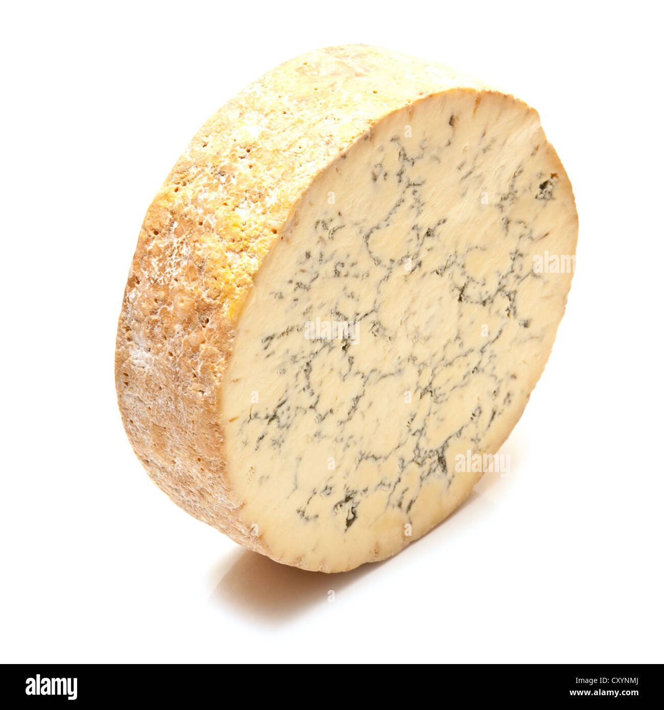 Stilton cheese isolated on a white background studio. Banque D'Images