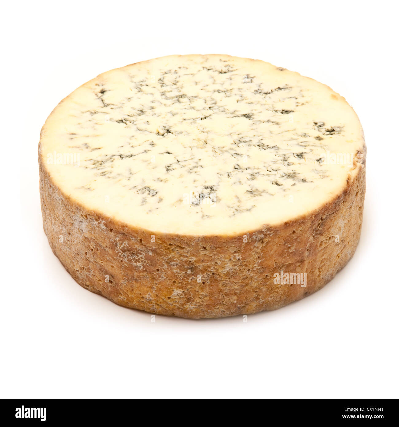 Stilton cheese isolated on a white background studio. Banque D'Images