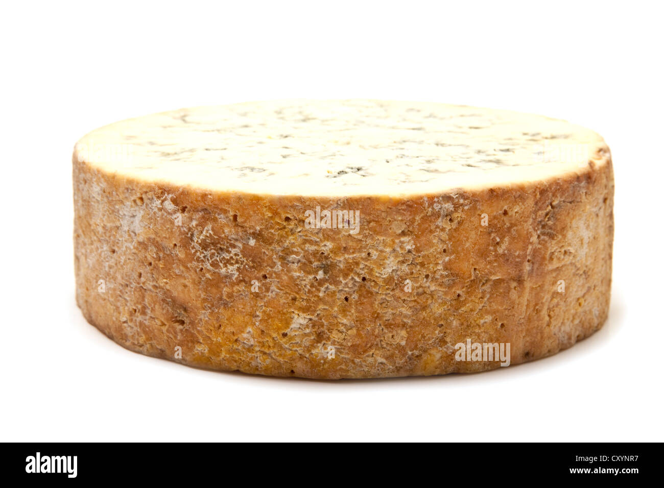 Stilton cheese isolated on a white background studio. Banque D'Images