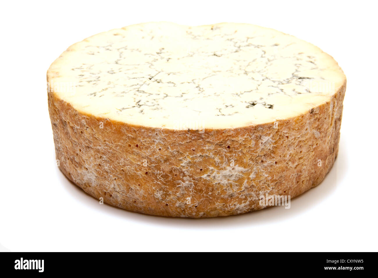 Stilton cheese isolated on a white background studio. Banque D'Images