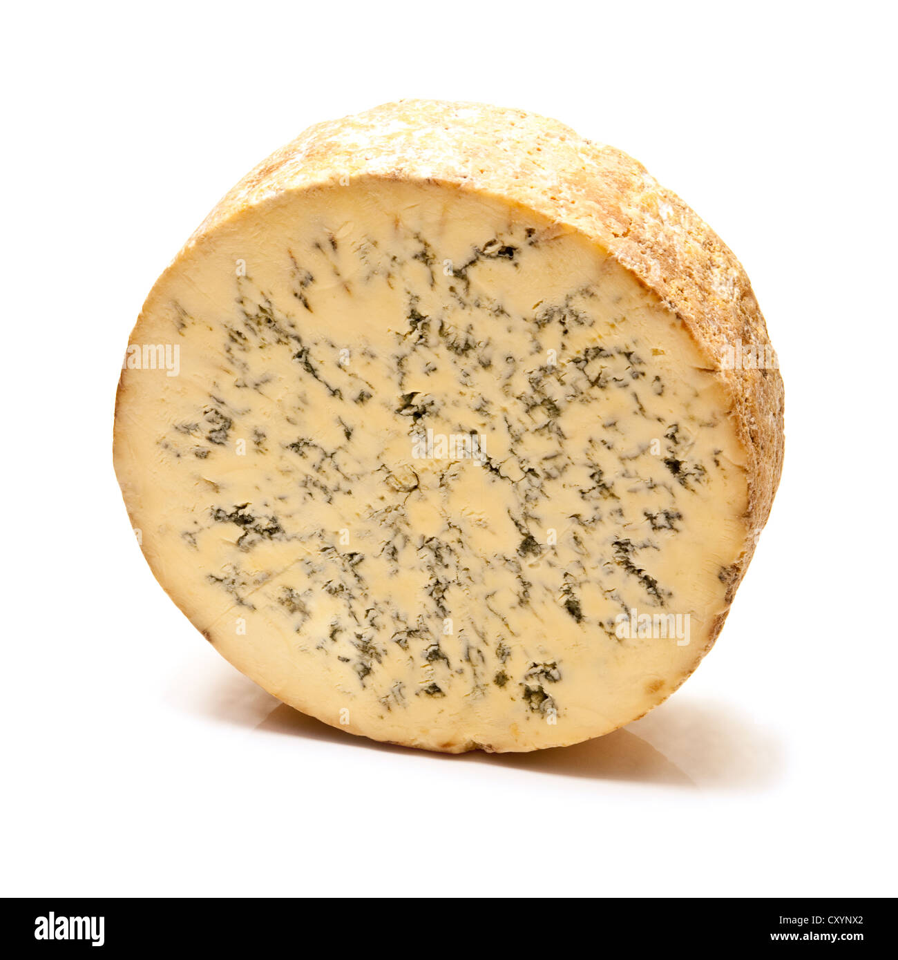 Stilton cheese isolated on a white background studio. Banque D'Images