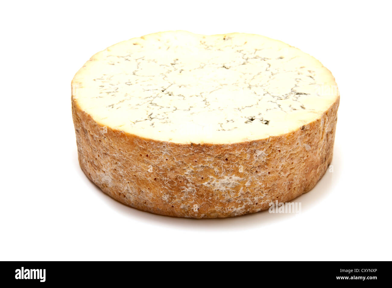 Stilton cheese isolated on a white background studio. Banque D'Images