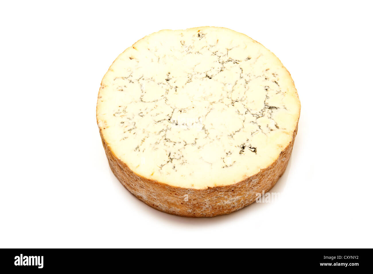 Stilton cheese isolated on a white background studio. Banque D'Images