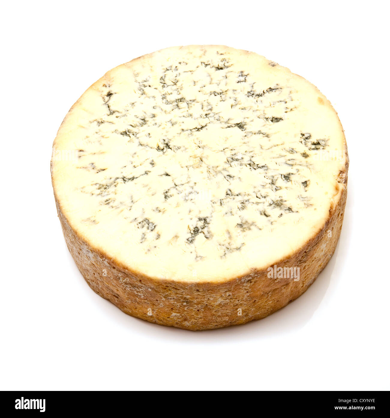Stilton cheese isolated on a white background studio. Banque D'Images