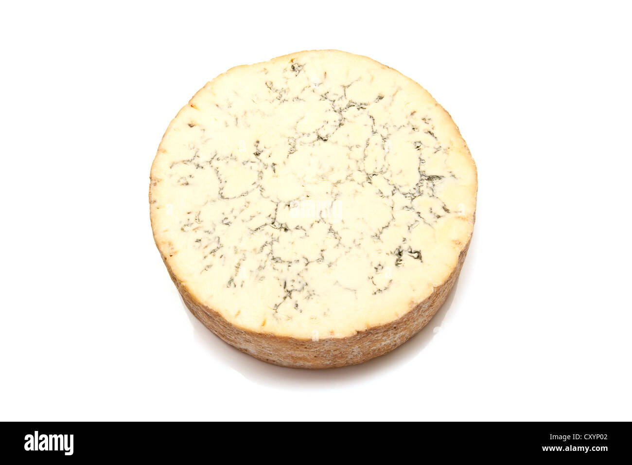 Stilton cheese isolated on a white background studio. Banque D'Images