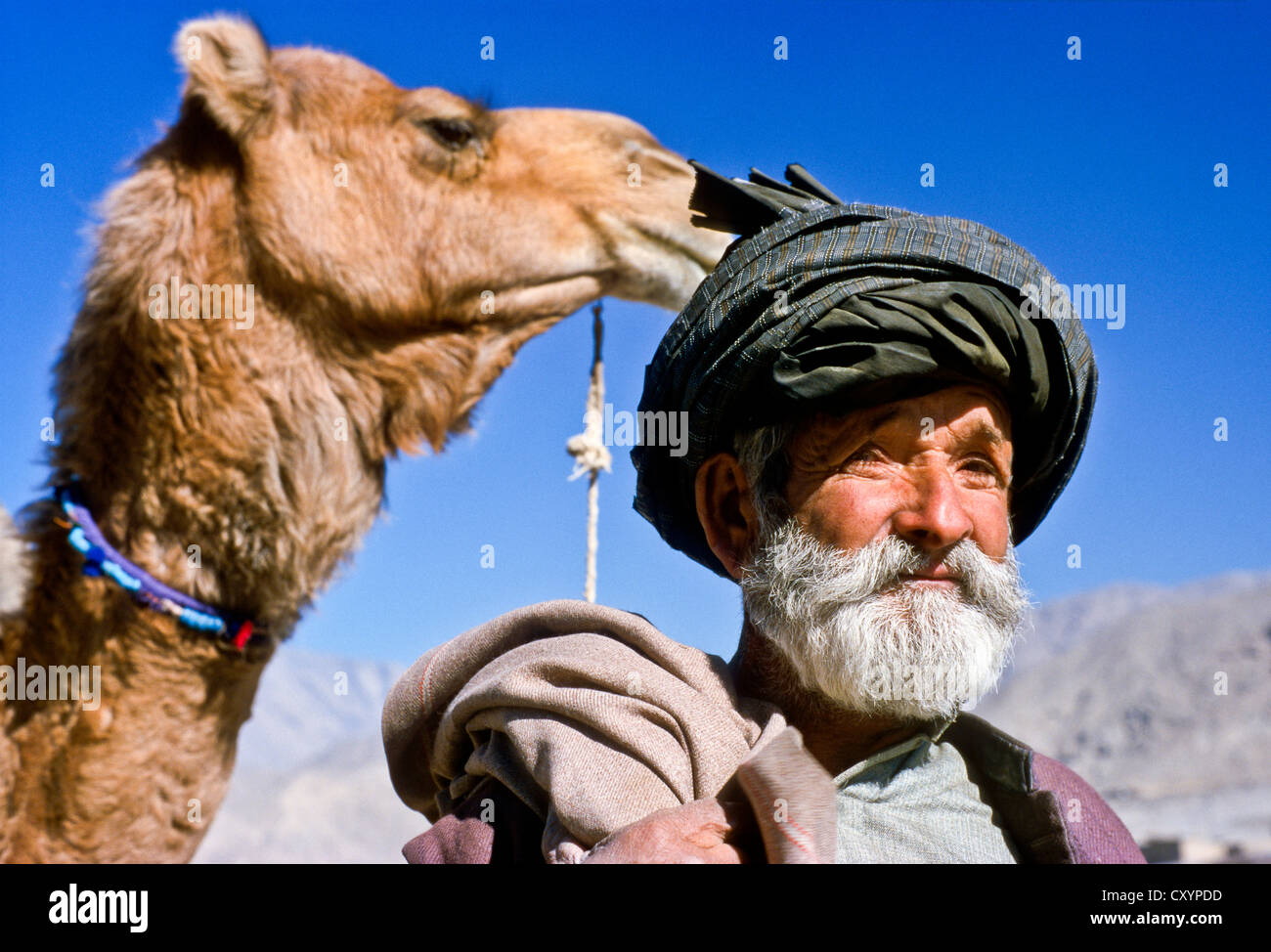 Nomad avec son chameau sur la route entre Taftan et Quetta, Dalbandin, Belouchistan, Pakistan, Asie Banque D'Images