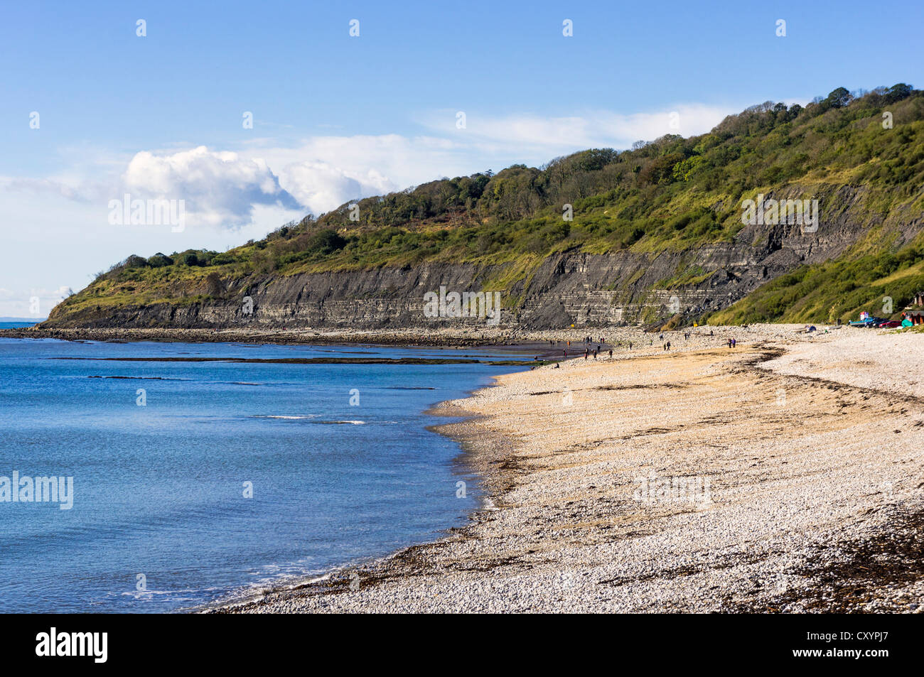 L'Undercliff beach et à l'ouest de la ville de Lyme Regis, dans le Dorset, UK - une réserve naturelle nationale (NNR) Banque D'Images