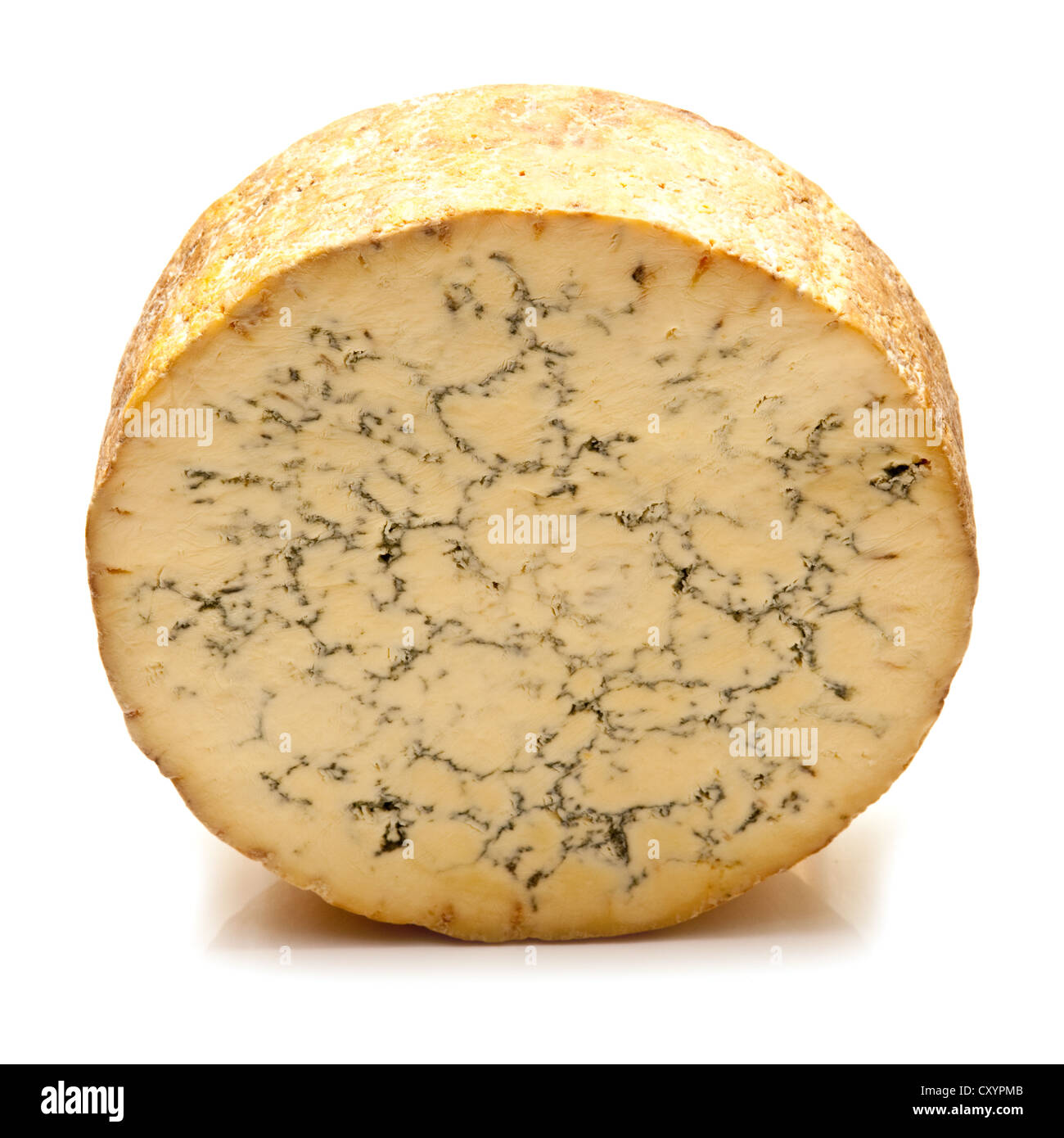 Stilton cheese isolated on a white background studio. Banque D'Images
