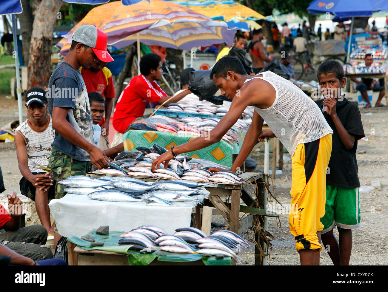 La vente du poisson, négociant Colmera quartier commercial de Dili, capitale du Timor Leste (Timor oriental) Banque D'Images