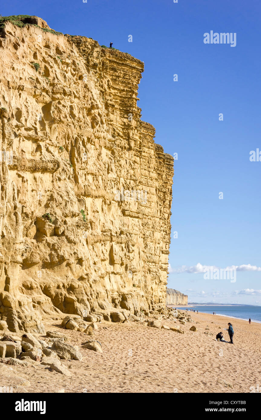 Les falaises de la côte jurassique à West Bay, Bridport, Dorset, UK Banque D'Images