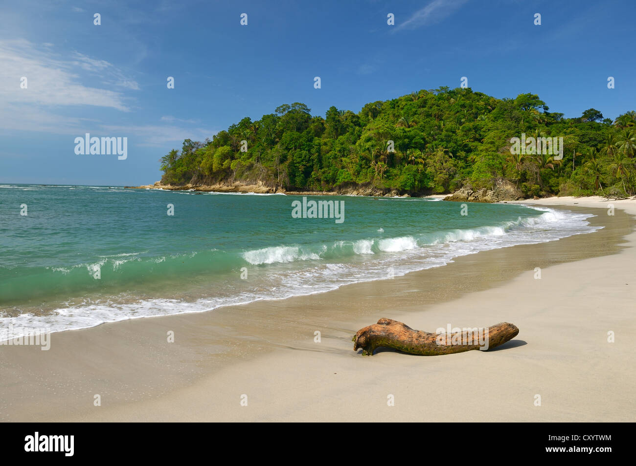 Plage De Sable Blanc Parc National Manuel Antonio Central