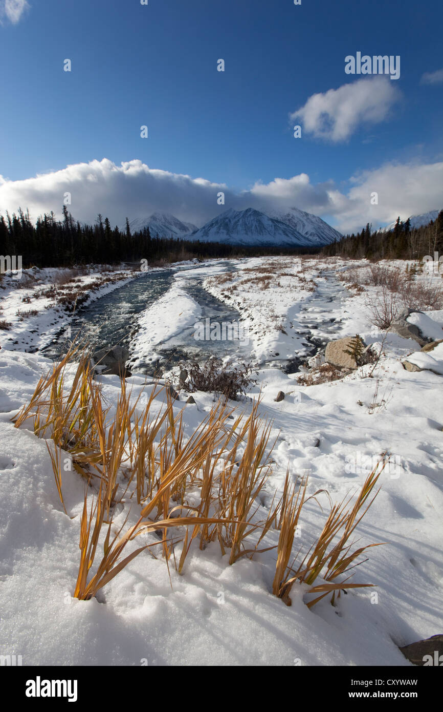 Première neige au ruisseau Quill, montagnes St., Kluane derrière, et la Réserve de parc national Kluane, Yukon Territory, Canada Banque D'Images