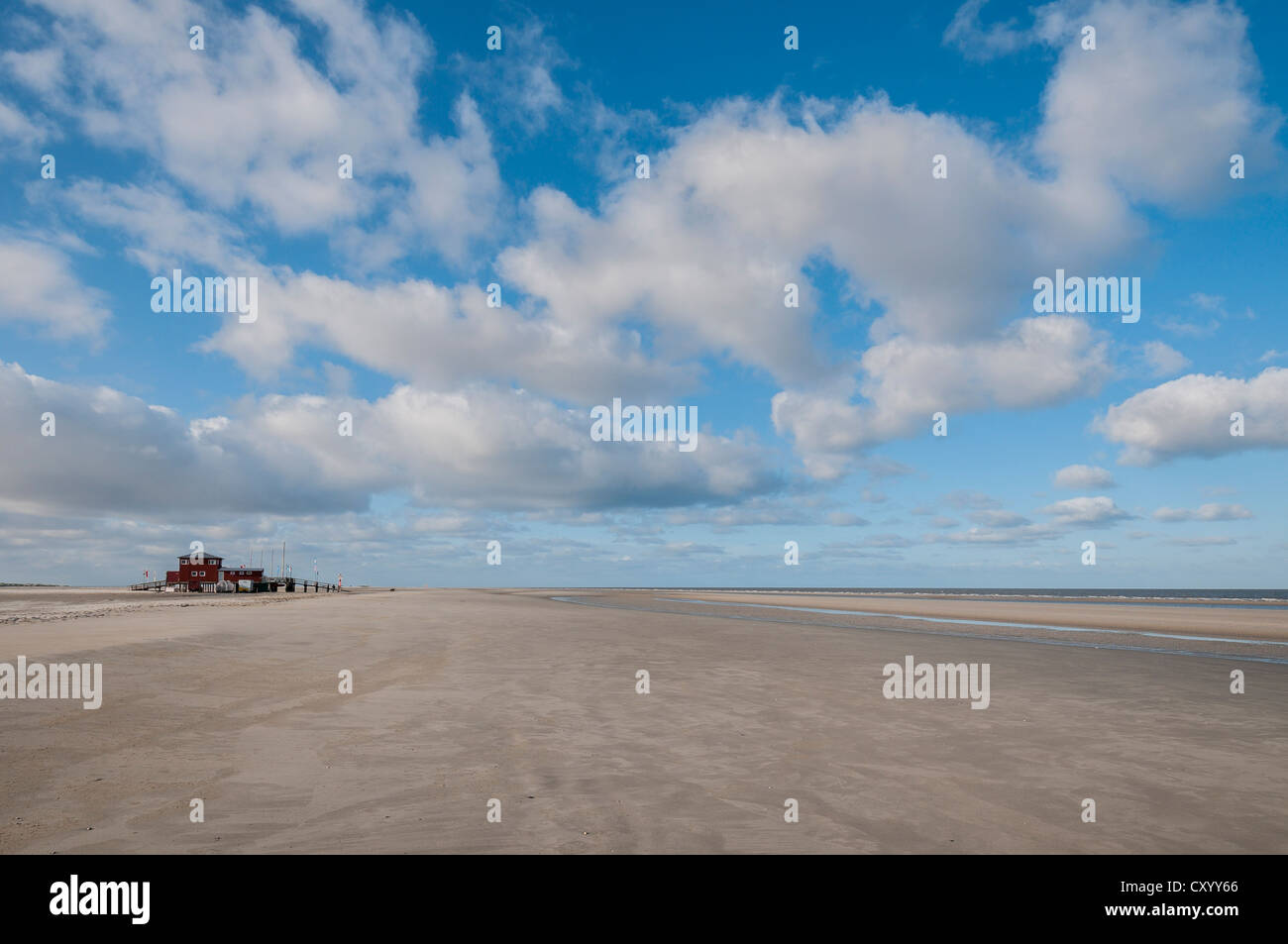 Plage de Saint- Peter-Ording dans le soleil du matin, des maisons sur pilotis à l'arrière, la mer du Nord, Schleswig-Holstein Banque D'Images