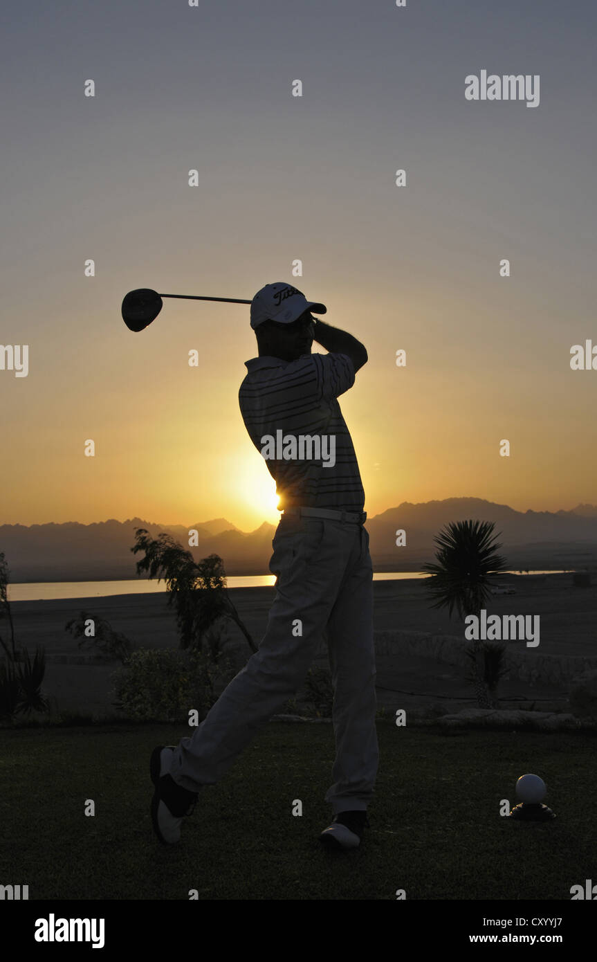 Golfeur pris le départ au coucher du soleil, Soma Bay, Red Sea, Egypt, Africa Banque D'Images