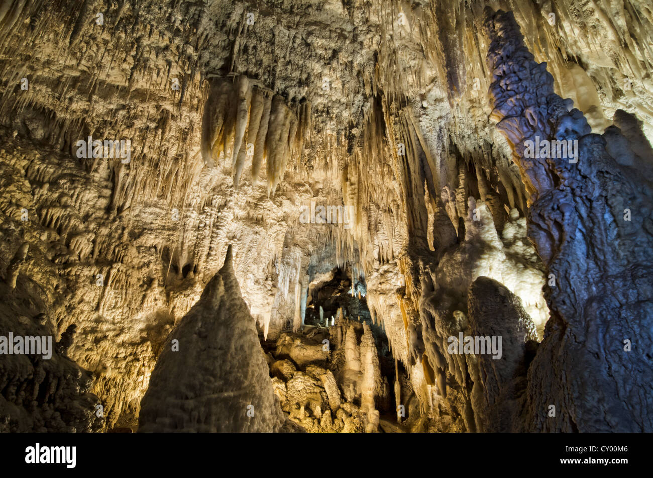 Grottes de Waitomo, stalagmites, Waitomo, North Island, New Zealand Banque D'Images