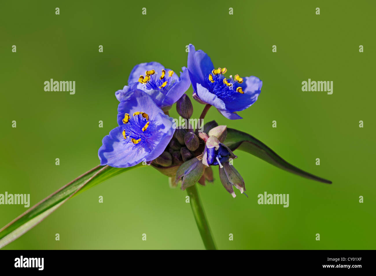 Whitemouth river Banque de photographies et d’images à haute résolution