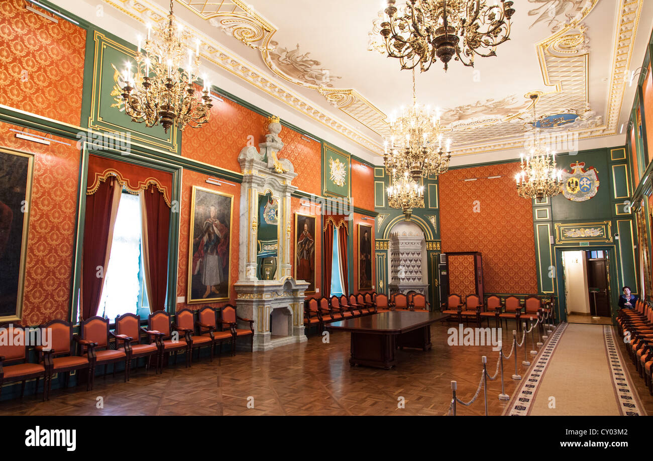 La salle de bal au château de Nesvizh devint un lieu crucial Banque D'Images