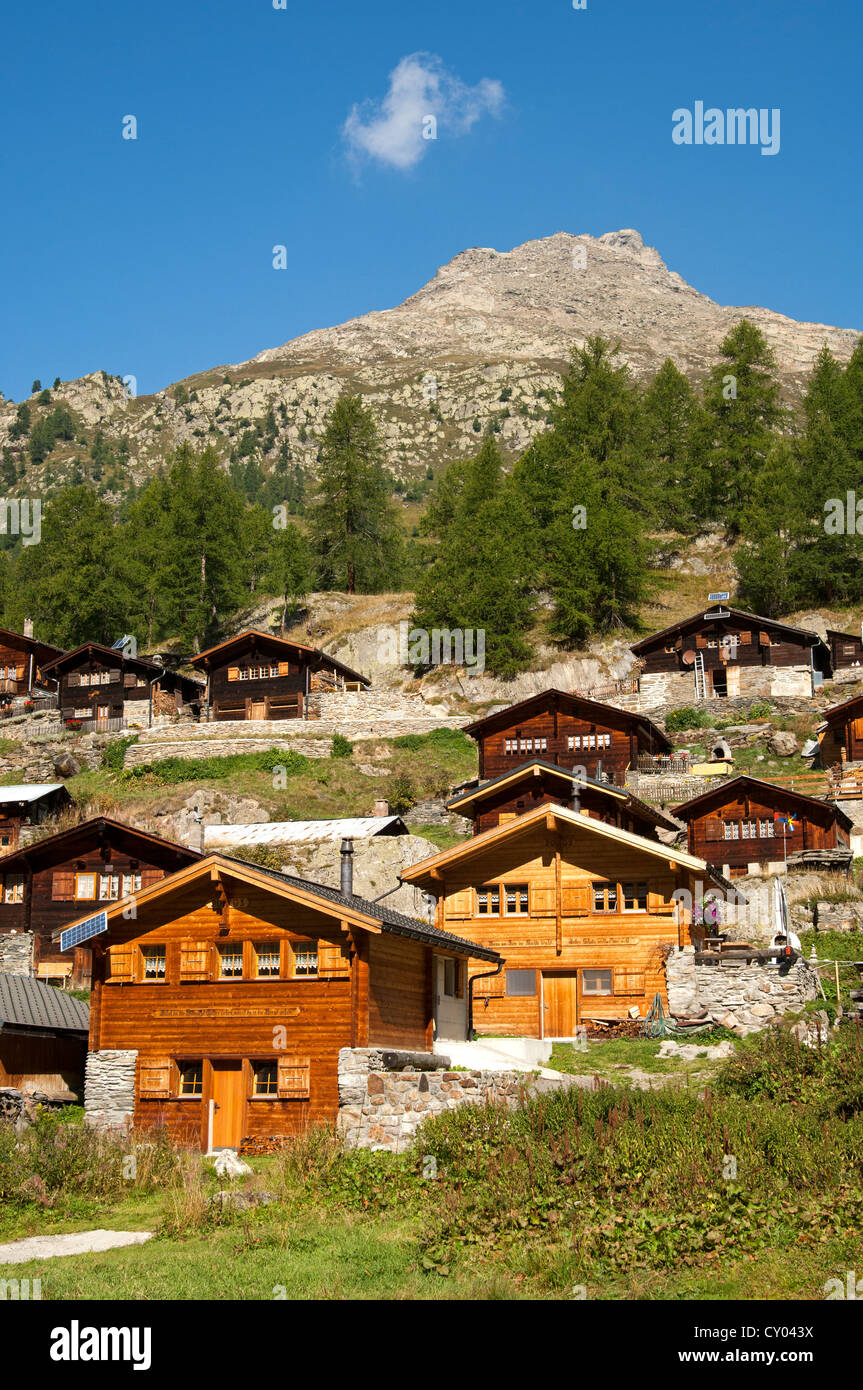 Swiss chalets typiques, Mt Weiler Gletscherstafel Glacier, Alp, Loetschental Vallée, Valais, Suisse, Europe Banque D'Images