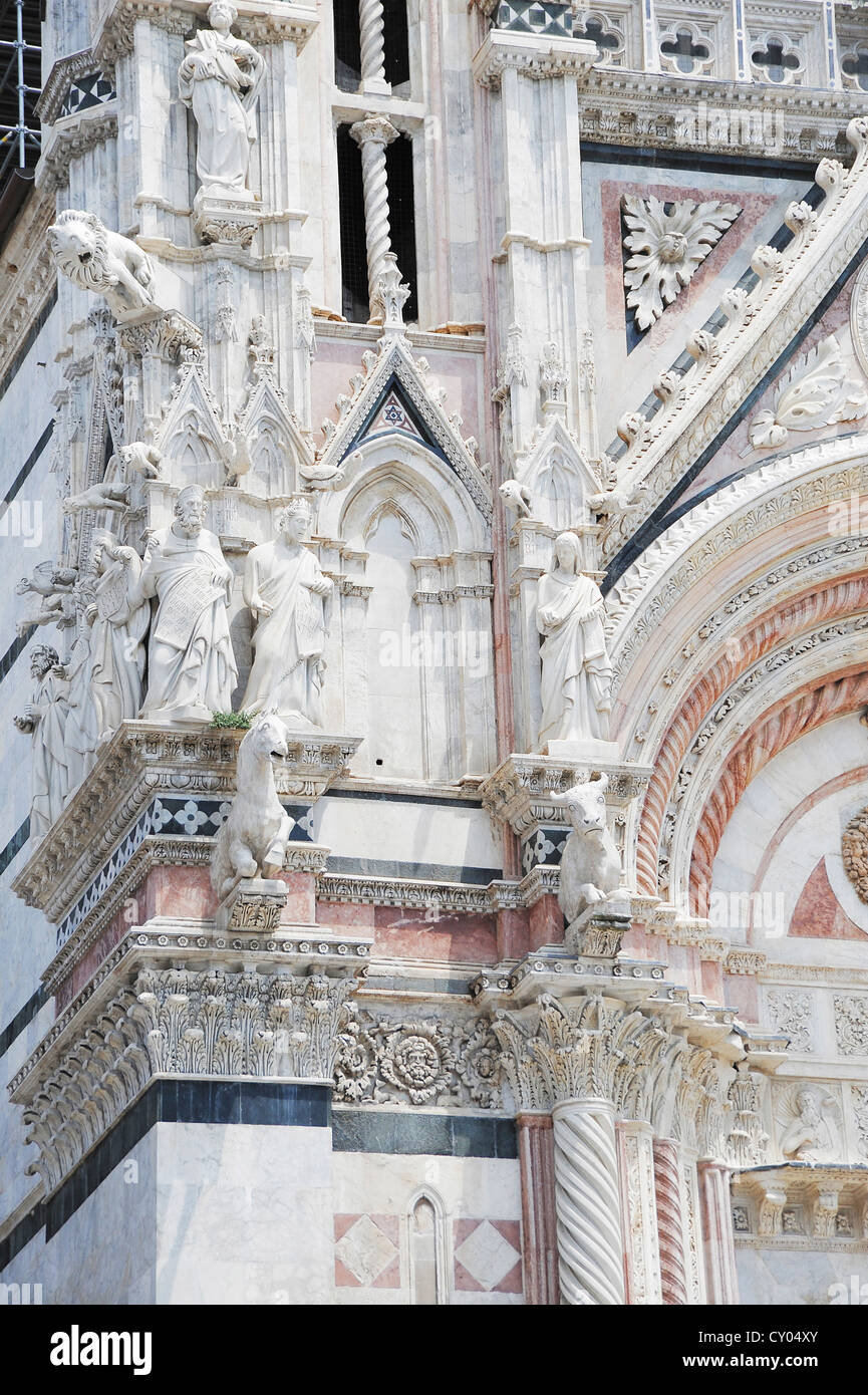 La Cathédrale de Sienne, Sienne, Toscane, Italie, Europe Banque D'Images