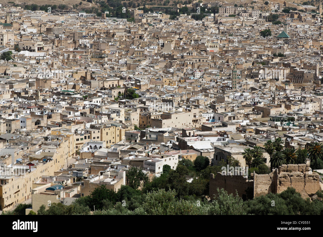 Vue sur la vieille ville de Fès ou Fez, l'oriental, Maroc, Maghreb, Afrique du Nord, Afrique Banque D'Images