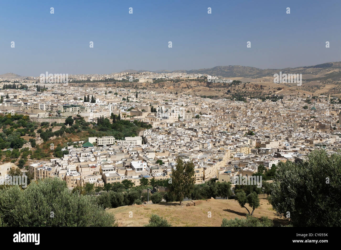 Vue sur la vieille ville de Fès ou Fez, l'oriental, Maroc, Maghreb, Afrique du Nord, Afrique Banque D'Images