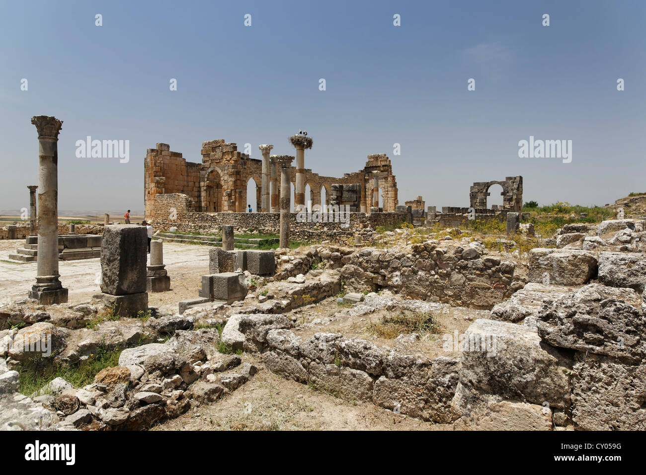 Le Forum à le site archéologique romain de Volubilis, Site du patrimoine mondial de l'UNESCO, Meknès, Meknès-Tafilalet, Maroc, Maghreb Banque D'Images