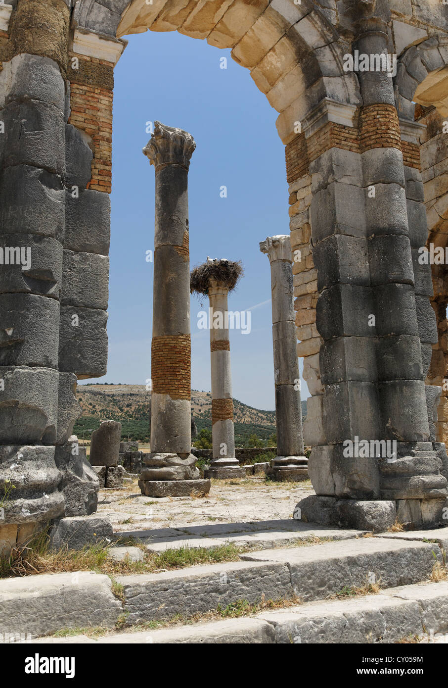 Colonnes à l'excavation romain site de Volubilis, Site du patrimoine mondial de l'UNESCO, Meknès, Meknès-Tafilalet, Maroc, Maghreb Banque D'Images