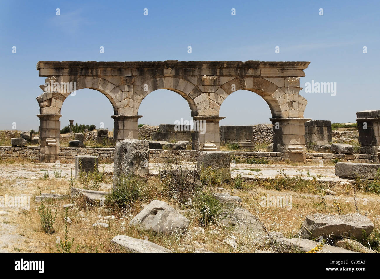 Reste à le site archéologique romain de Volubilis, Site du patrimoine mondial de l'UNESCO, Meknès, Meknès-Tafilalet, Maroc, Maghreb Banque D'Images