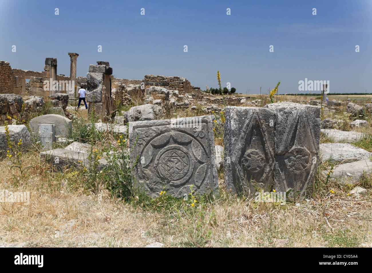 Reste à le site archéologique romain de Volubilis, Site du patrimoine mondial de l'UNESCO, Meknès, Meknès-Tafilalet, Maroc, Maghreb Banque D'Images