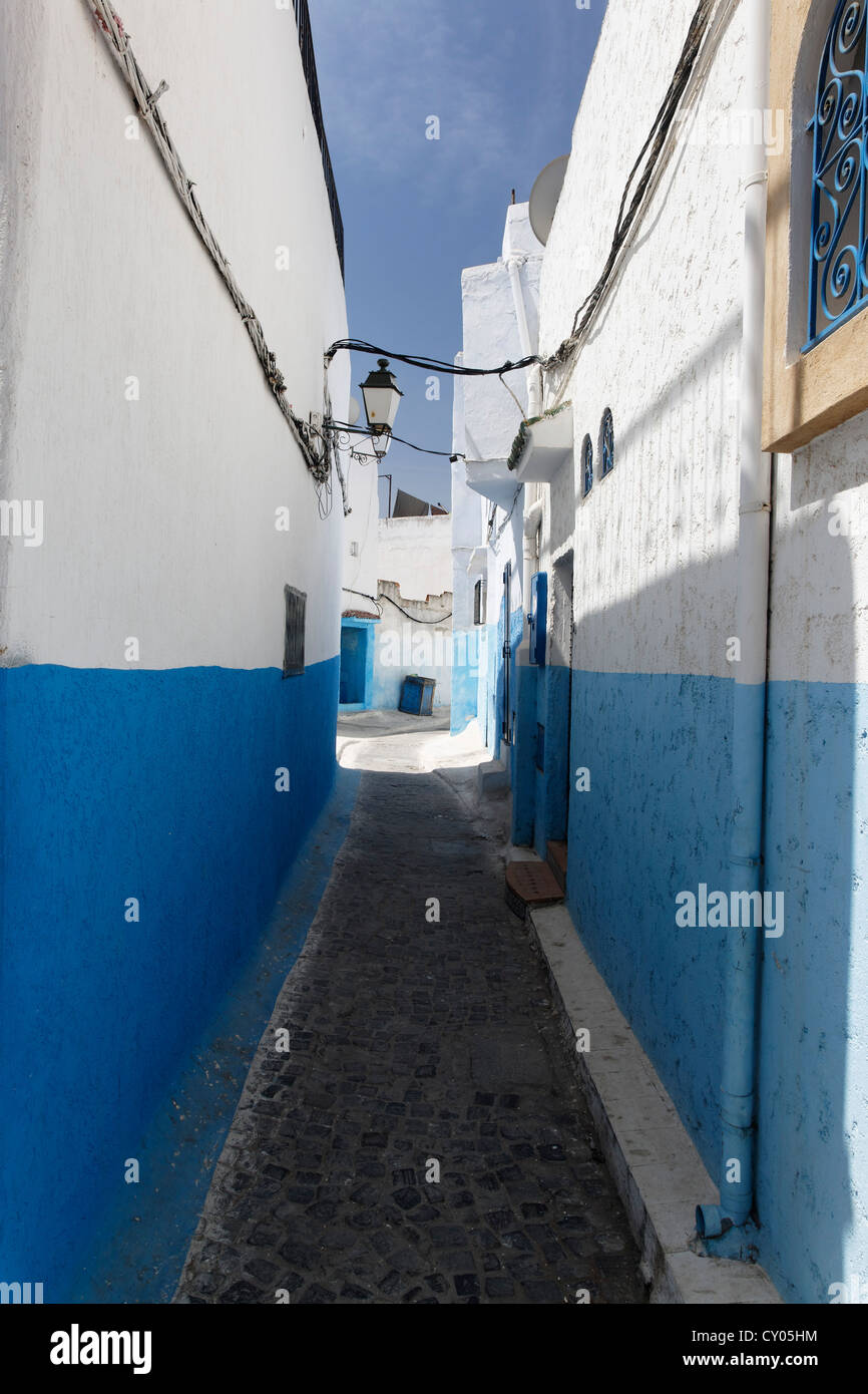 Ruelle étroite et maisons bleu dans la vieille ville de Rabat, Rabat-Salé-Zemmour-Zaër, Maroc, Maghreb, Afrique du Nord Banque D'Images