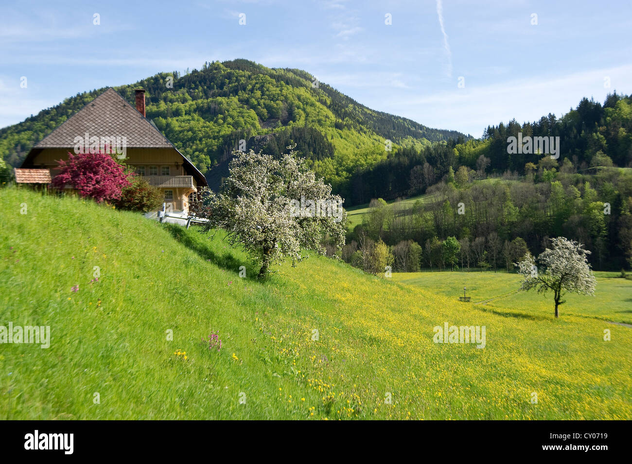 Ancienne ferme de la Forêt-Noire, Praeg près de Todtnau, Forêt-Noire, Bade-Wurtemberg Banque D'Images